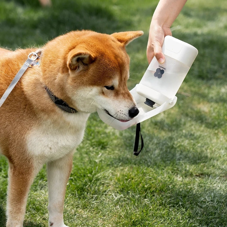 Mewoofun Water Bottle for Dogs, Pets and Cats.